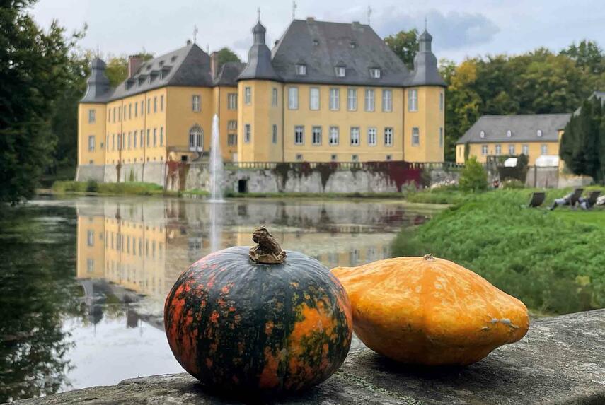 Schlossherbst in Schloss Dyck – Herbstzauber für die ganze Familie